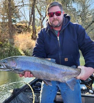 Southern Oregon Winter Steelhead